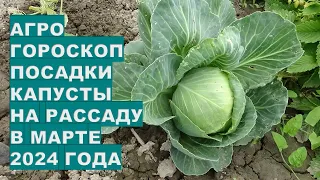 Агрогороскоп посадки капусты на рассаду в марте 2024 Agrohoroscope for sowing cabbage seeds for seed