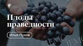 Илья Пухов -  "Плоды праведности"