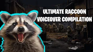 Raccoon Federation Collection Vol.1