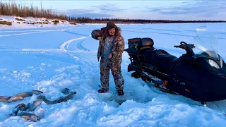 Северное блюдо Жаренный Налим