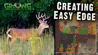 Better Deer Hunting for a 120 Acre Cattle Farm | Creating Edge (598)