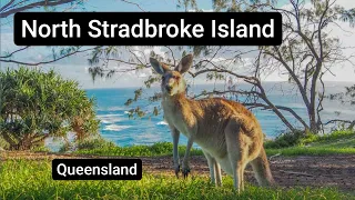 NORTH STRADBROKE ISLAND | Getting there & Things to see and do on the Island | Brisbane, Queensland