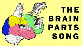 Parts of the Brain Song