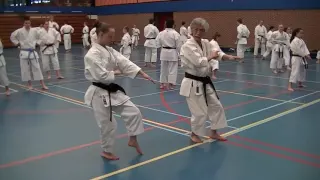 Kata Anan - Training by Soke Yoshimi (Memories)