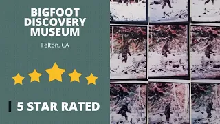 BIGFOOT DISCOVERY MUSEUM Felton, Ca Amazing  5 STAR REVIEW by Paul J.