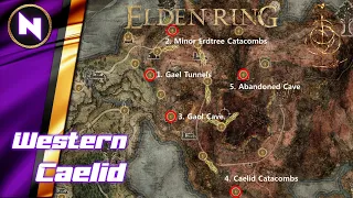 Scarlet Rot Nightmare Dungeons of Western CAELID | Elden Ring Guide