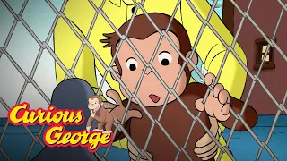 George Makes a Home for Pigeons  🐵 Curious George 🐵Kids Cartoon 🐵 Kids Movies 🐵Videos for Kids