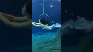 Beautiful Blue Mermaid Show in taiwan