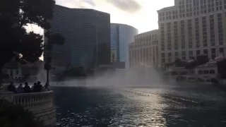 Bellagio Las Vegas 2016