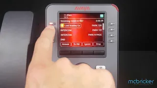 Incoming Call J169 J179 Avaya IPOffice McBricker