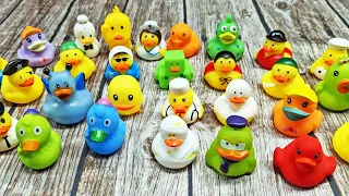 A Great Assortment of Rubber Ducks for Jeep Ducking!