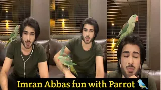 Imran Abbas Live with his Parrot | Session 44 | Imran Abbas Fans