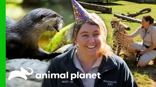 Australia Zoo's Care Programs & Fun Activities! | Crikey! It's The Irwins