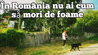 La țară nu se moare de foame. Catelușa s-a îndrăgostit de Bruno