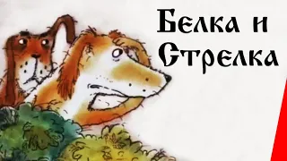 Белка и... Стрелка (1993) мультфильм