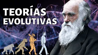 Las TEORÍAS EVOLUTIVAS explicadas: Leclerc, Lamarck, Wallace, Darwin, otros🦒