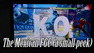 The Mexican FGC (a small peek)