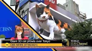 Giant 3D cat prowls over Tokyo | CBSN | DeFox News (ENG)