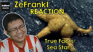 True Facts: Sea Stars | zefrank1 | ImBumi Reaction