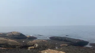 Halibut point state park Rockport ma Ocean waves sounds for sleeping