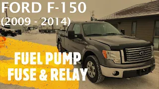 Ford F-150 - FUEL PUMP FUSE AND RELAY LOCATION (2009 - 2014)