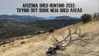 Arizona Shed Hunting 2022: Trying out some new areas.