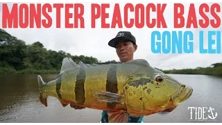 MONSTER PEACOCK BASS - Gong Lei - Tide Apparel