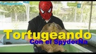 Un día Tortuguero con el Spyder