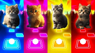 CUTE CATS - Waka Waka - Bones - BTS - Dancin | Tiles Hop EDM Rush