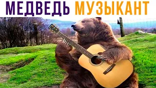 МЕДВЕДЬ МУЗЫКАНТ))) Приколы | Мемозг #555