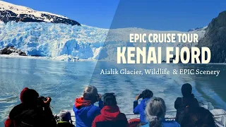 Must-Do Kenai Fjords National Park Boat Tour (Seward, Alaska)