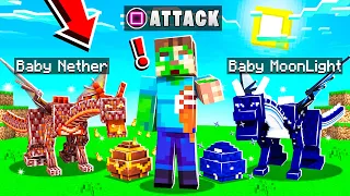 TRAINING BABY DRAGON PETS IN MINECRAFT!