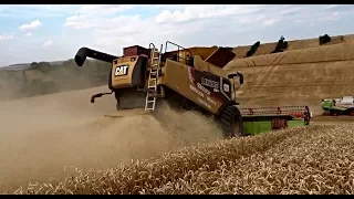 EXTREME WHEAT HARVEST ON SOUTH MORAVIA | BIG HILLS | CAT LEXION 580R | Agriculture