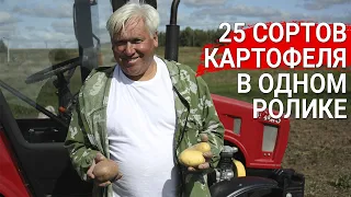 25 сортов картофеля в одном ролике