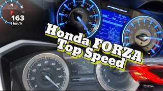 Top Speed Honda Forza