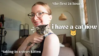 So... I rescued a stray kitten 🐱 (storytime & the first day of being a cat mom)