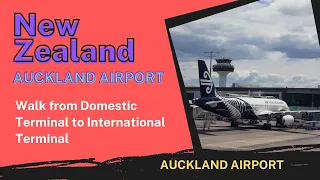 Walk from Auckland Airport Domestic Terminal to Auckland Airport International Terminal, New Zealand