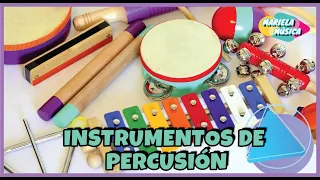 SONIDOS #INSTRUMENTOS MUSICALES de #PERCUSIÓN. Instrumentos que se sacuden, gopean y raspan.