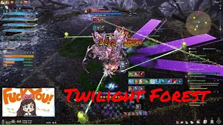 Dual Blade's Perspective: Conquering Twilight Forest Stage 3 In Blade And Soul