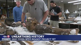 Unearthing the Mastodon: Gray Fossil Site piecing together biggest project yet