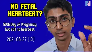 Week 7 of Pregnancy but still no fetal heartbeat | Antai Hospital