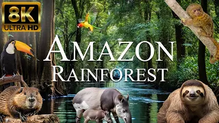 Amazon Rainforest 8K ULTRA HD | Beautiful Animals of Amazon Jungle | Nature Amazon Forest