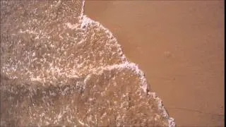 (ASMR) Beach at High Tide | The Binaural Universe