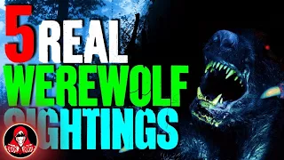 5 REAL Werewolf Sightings - Darkness Prevails