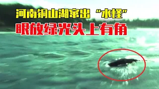 铜山湖窜出“水怪”，眼放绿光长着两只角，10米长的它是何生物？