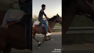 Village Horse Rider 🏇🏇💯 #shorts