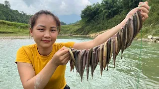 The process of catching fish loach (catfish) by hand is simple, did you know this trick? Hoang Huong