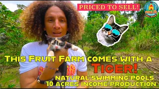 COSTA RICA FARM 👨‍🌾 FRUIT 🍊 RIVERFRONT 💦 FOR SALE 🤩 PEREZ ZELEDON 🇨🇷 INCOME PRODUCING INVESTMENT 😎