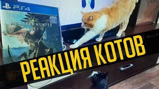 Реакция котов на Monster Hunter: World