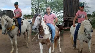 FEIRA DE CAVALO 🐎 EM CARUARU-PE DIA 14/05/2024